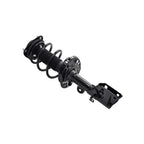 Suspension Strut and Coil Spring Assembly LS54-95831L