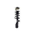 Suspension Strut and Coil Spring Assembly LS54-95841L