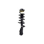 Suspension Strut and Coil Spring Assembly LS54-95841L