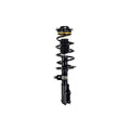 Suspension Strut and Coil Spring Assembly LS54-95841R