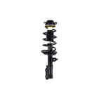 Suspension Strut and Coil Spring Assembly LS54-95841R