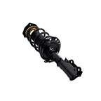 Suspension Strut and Coil Spring Assembly LS54-95841R