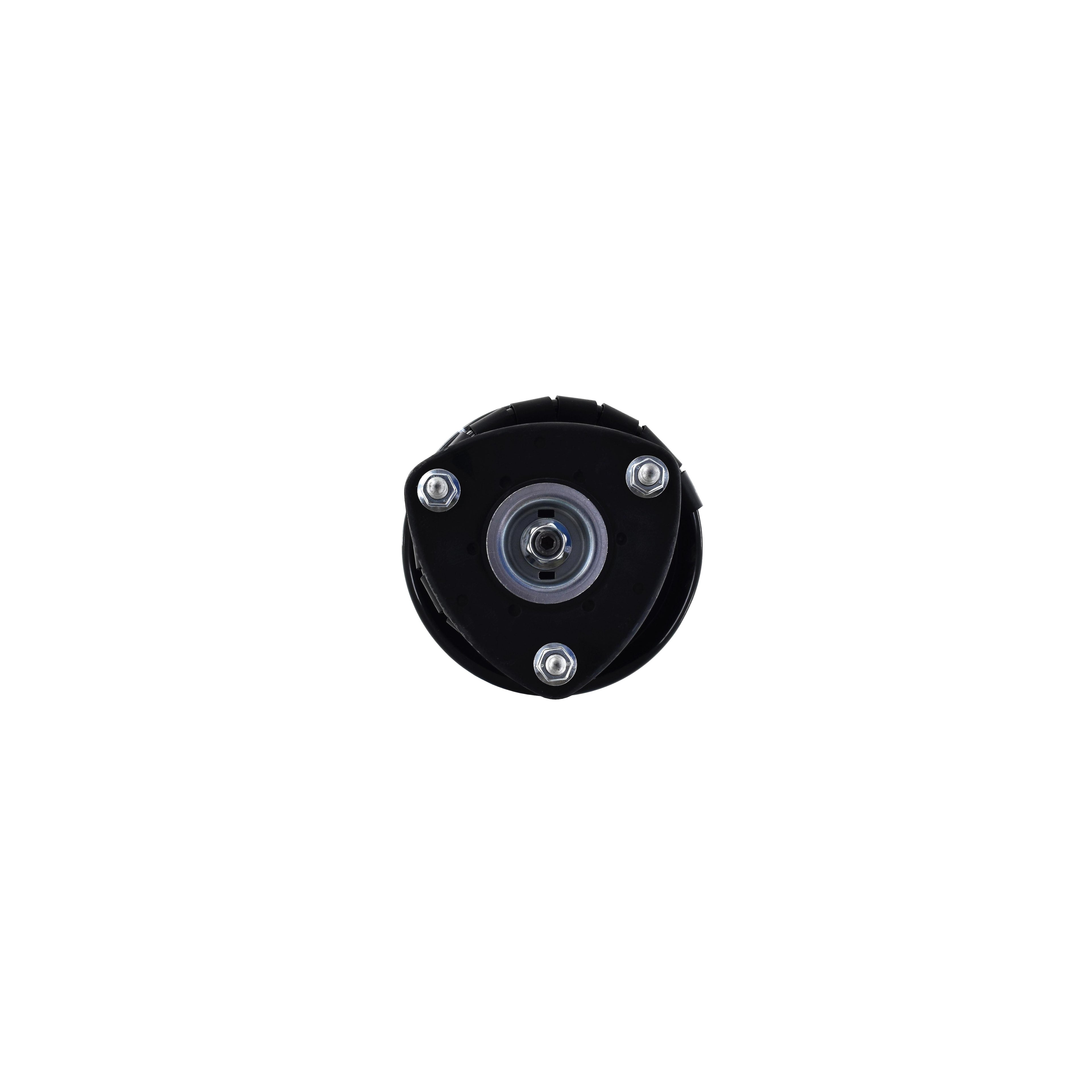 Loaded Suspension Strut and Coil Spring Assembly LS54-95861R