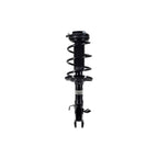 Suspension Strut and Coil Spring Assembly LS54-95891L