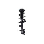 Suspension Strut and Coil Spring Assembly LS54-95891L