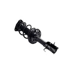 Suspension Strut and Coil Spring Assembly LS54-95891L