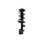 Suspension Strut and Coil Spring Assembly LS54-95891R