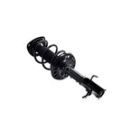 Suspension Strut and Coil Spring Assembly LS54-95891R