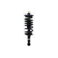 Loaded Strut and Coil Spring Assembly LS54-95902B