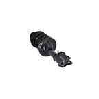 Suspension Strut and Coil Spring Assembly LS54-95911L
