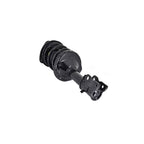 Suspension Strut and Coil Spring Assembly LS54-95911R