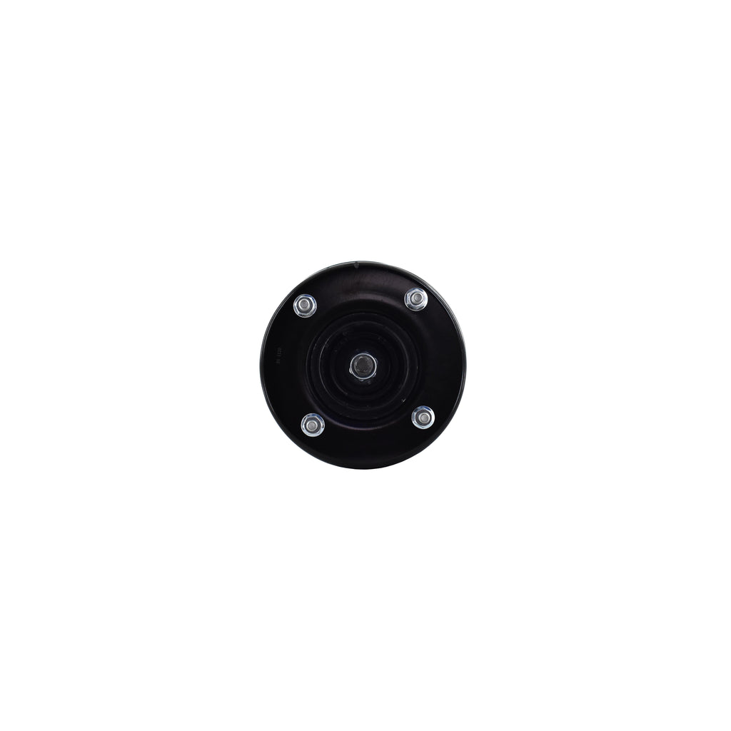 Suspension Strut and Coil Spring Assembly LS54-95921L