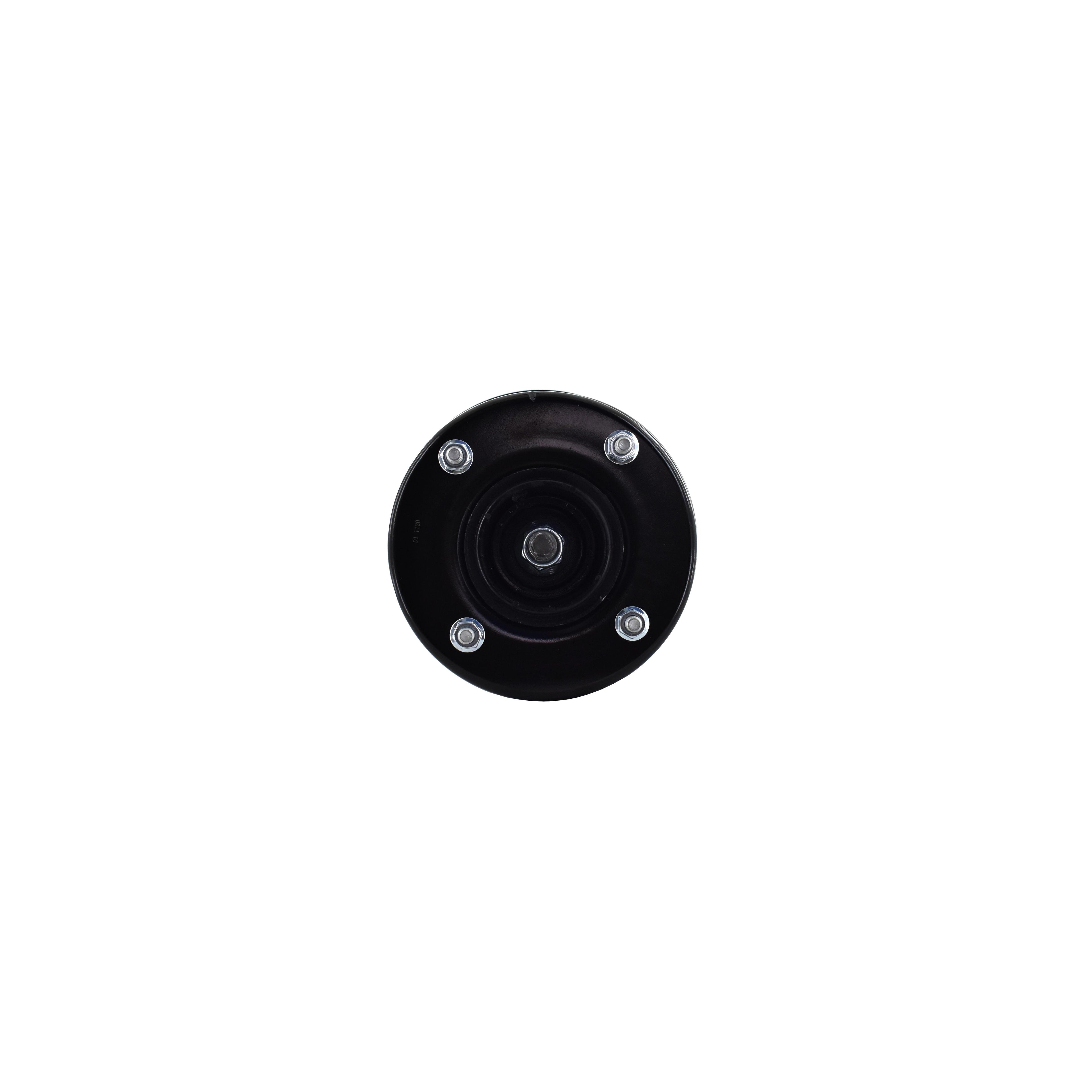 Suspension Strut and Coil Spring Assembly LS54-95921L