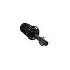 Suspension Strut and Coil Spring Assembly LS54-95921L