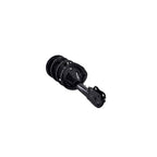 Suspension Strut and Coil Spring Assembly LS54-95931L