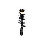 Suspension Strut and Coil Spring Assembly LS54-95941L