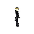 Suspension Strut and Coil Spring Assembly LS54-95941L