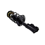 Suspension Strut and Coil Spring Assembly LS54-95941L