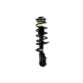 Suspension Strut and Coil Spring Assembly LS54-95941R
