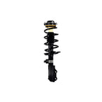Suspension Strut and Coil Spring Assembly LS54-95941R