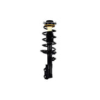 Suspension Strut and Coil Spring Assembly LS54-95941R