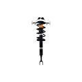 Suspension Strut and Coil Spring Assembly LS54-95961B
