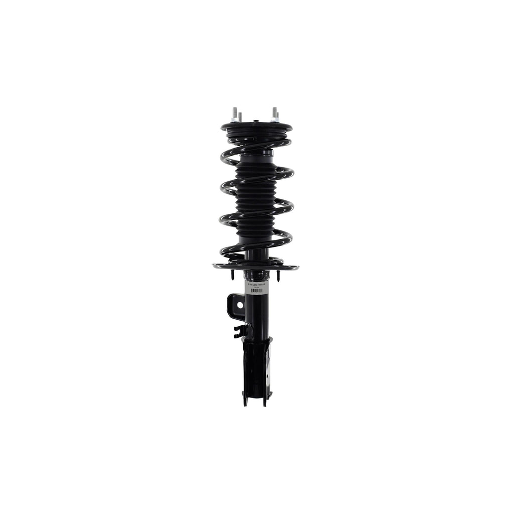 Suspension Strut and Coil Spring Assembly LS54-95971R