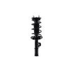 Suspension Strut and Coil Spring Assembly LS54-95971R