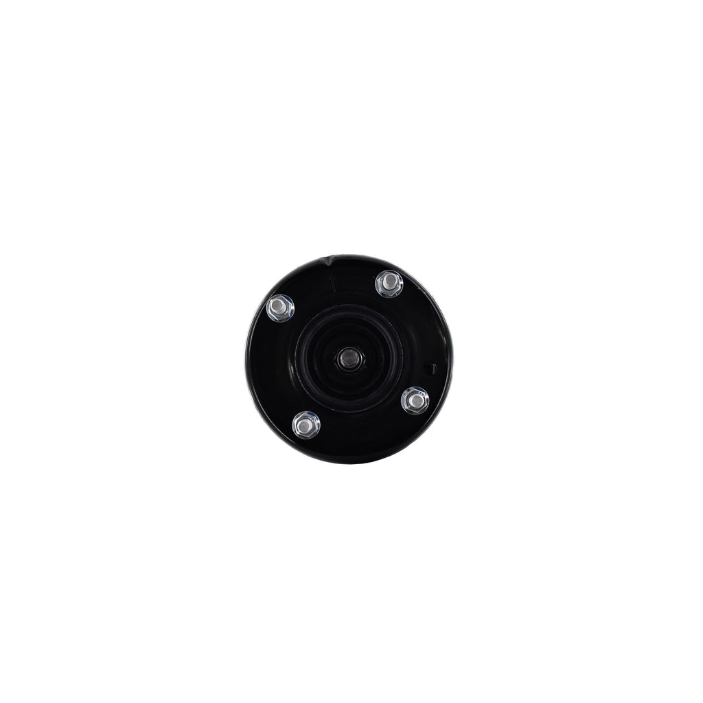 Suspension Strut and Coil Spring Assembly LS54-95971R