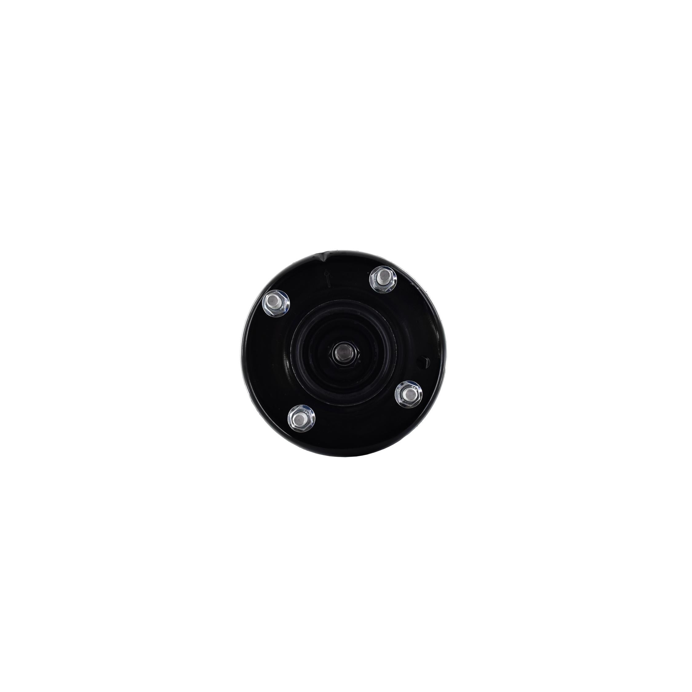 Suspension Strut and Coil Spring Assembly LS54-95971R