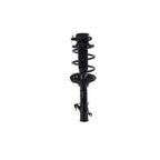 Suspension Strut and Coil Spring Assembly LS54-95981L