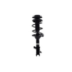 Suspension Strut and Coil Spring Assembly LS54-95981R