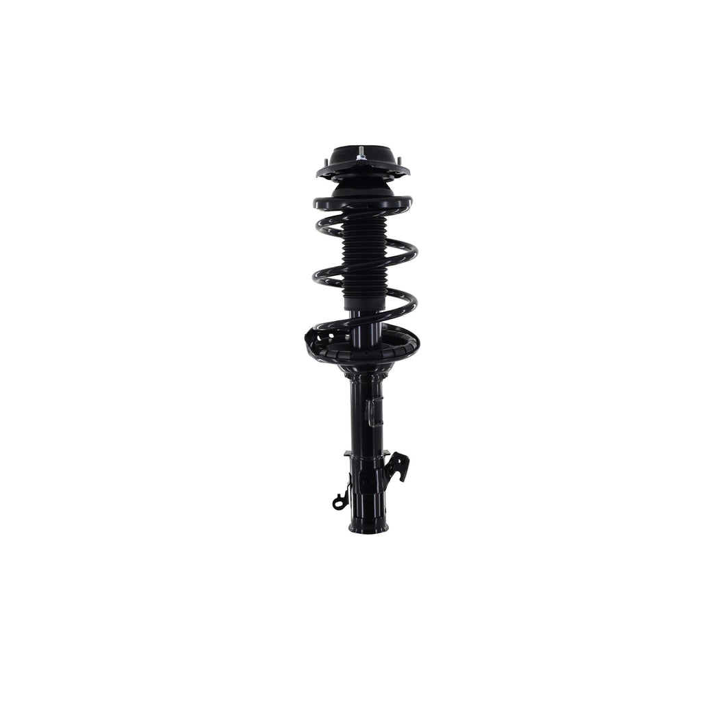 Suspension Strut and Coil Spring Assembly LS54-95981R