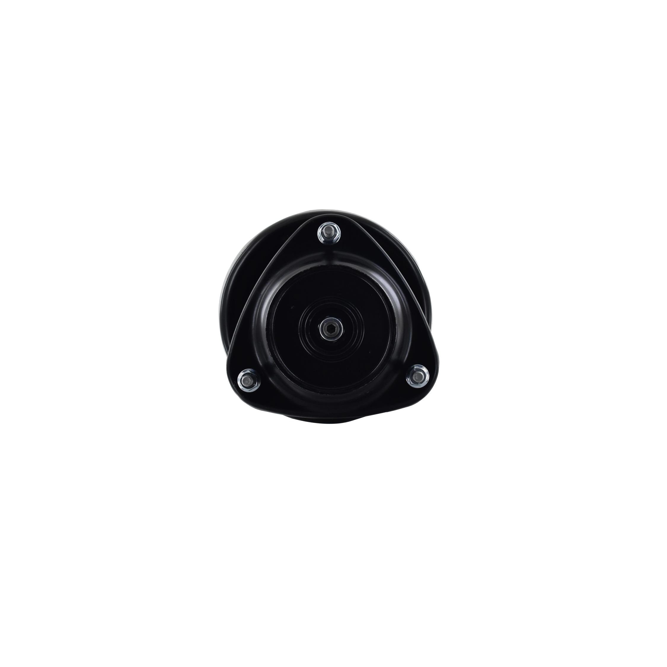 Suspension Strut and Coil Spring Assembly LS54-95981R
