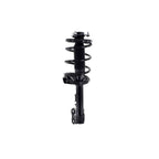 Suspension Strut and Coil Spring Assembly LS54-95991L