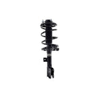 Suspension Strut and Coil Spring Assembly LS54-95991R