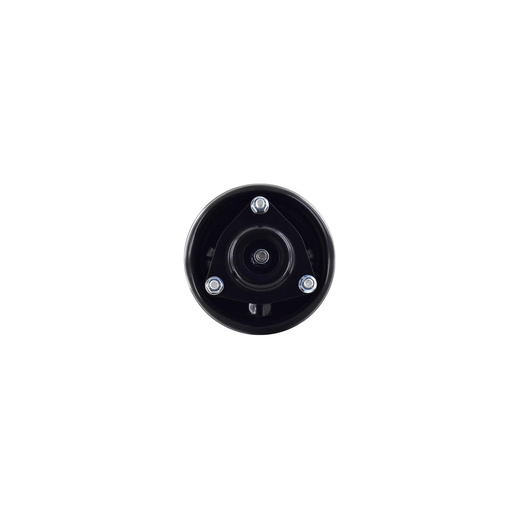 Suspension Strut and Coil Spring Assembly LS54-95991R