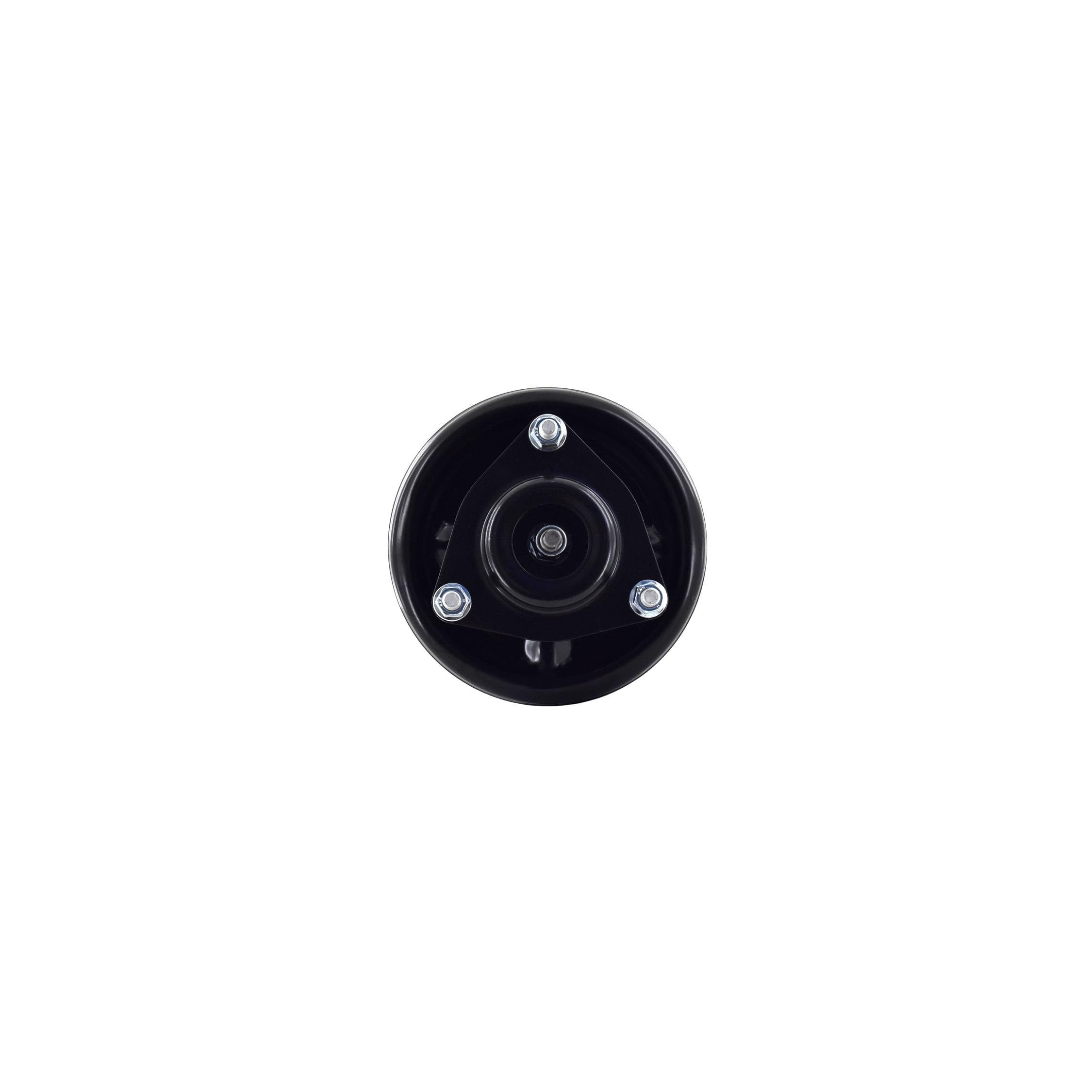Suspension Strut and Coil Spring Assembly LS54-95991R