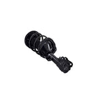 Suspension Strut and Coil Spring Assembly LS54-95991R