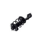 Suspension Strut and Coil Spring Assembly LS54-95991R