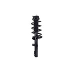 Suspension Strut and Coil Spring Assembly LS54-96001B