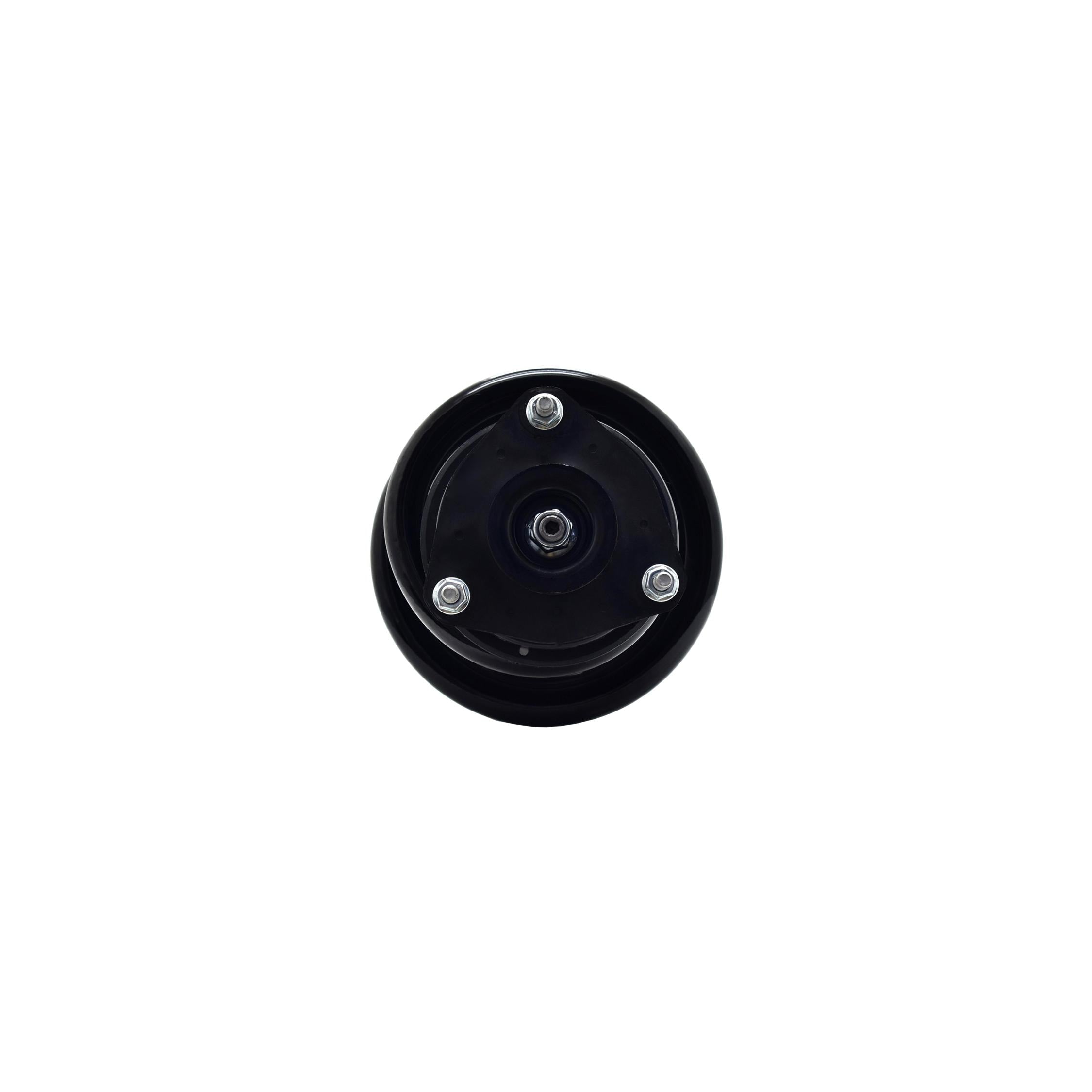 Suspension Strut and Coil Spring Assembly LS54-96001B