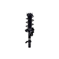 Suspension Strut and Coil Spring Assembly LS54-96011R