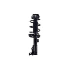 Suspension Strut and Coil Spring Assembly LS54-96021R