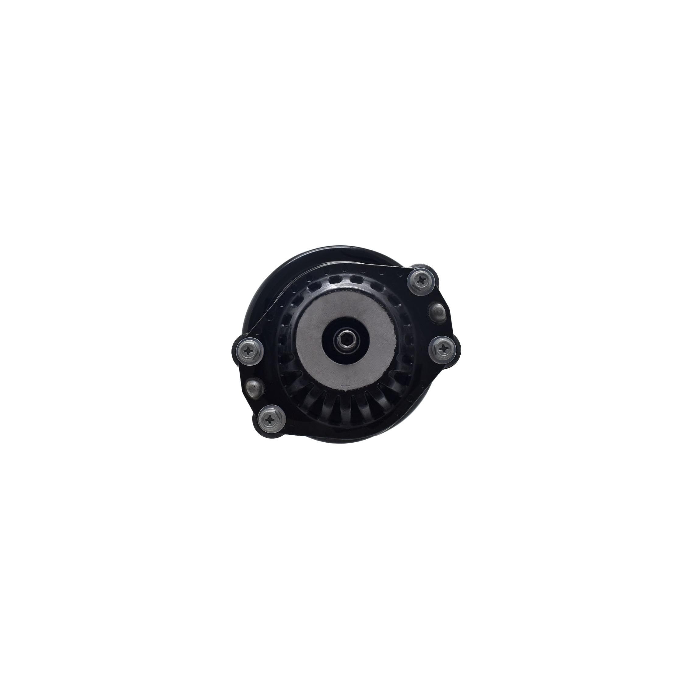 Suspension Strut and Coil Spring Assembly LS54-96031L