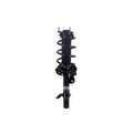 Suspension Strut and Coil Spring Assembly LS54-96041R