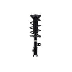 Suspension Strut and Coil Spring Assembly LS54-96071R