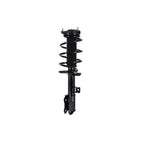 Suspension Strut and Coil Spring Assembly LS54-96071R