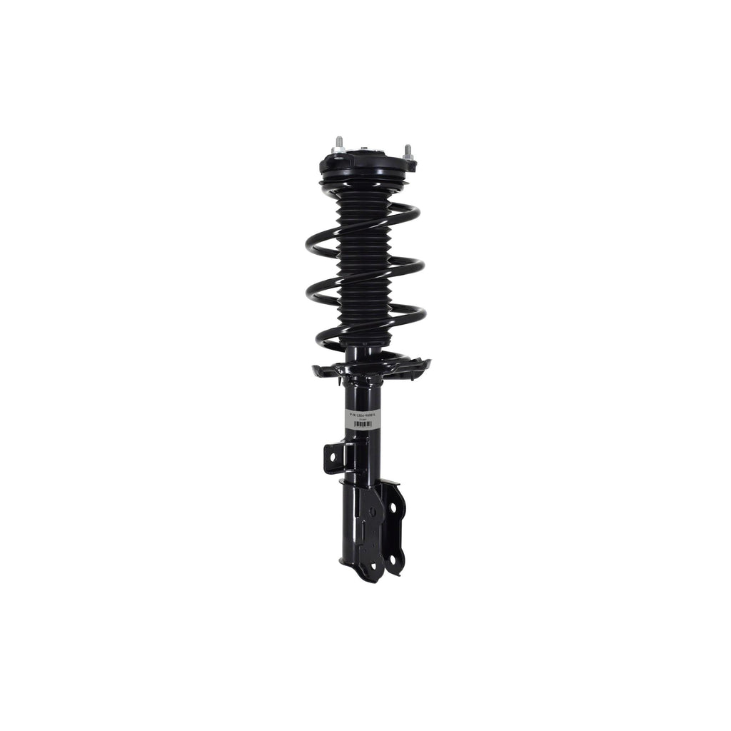 Suspension Strut and Coil Spring Assembly LS54-96081L