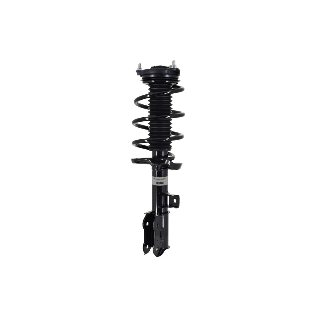 Suspension Strut and Coil Spring Assembly LS54-96081R